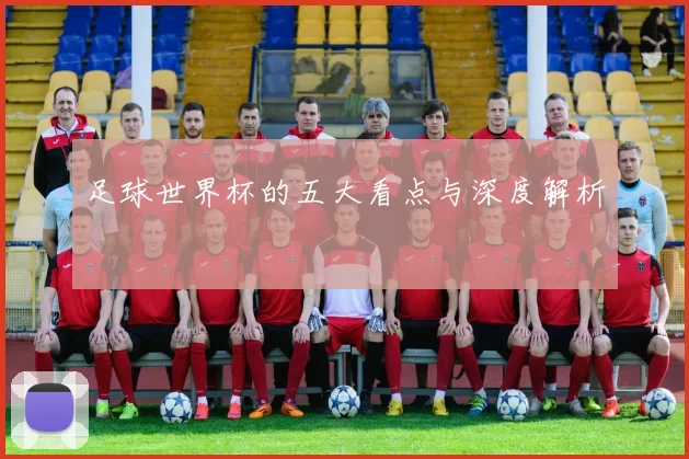 足球世界杯的五大看点与深度解析