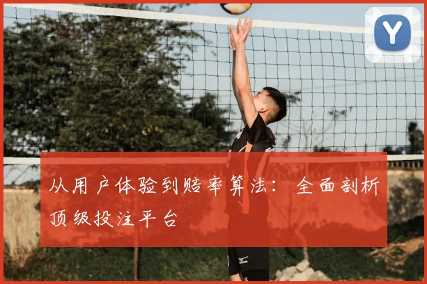 从用户体验到赔率算法：全面剖析顶级投注平台