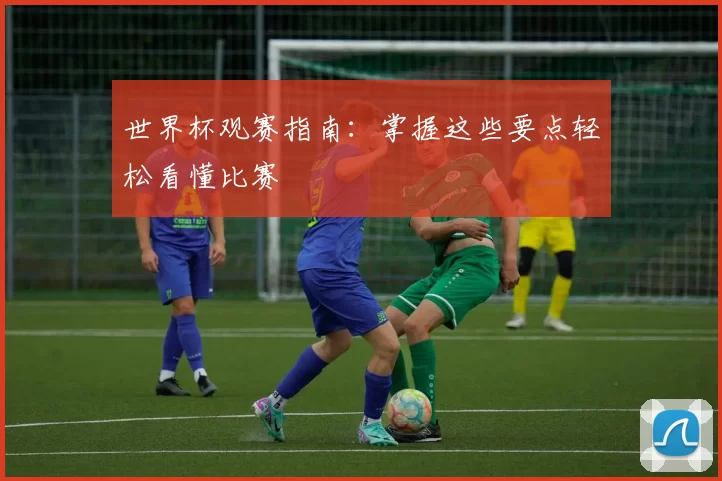世界杯观赛指南：掌握这些要点轻松看懂比赛