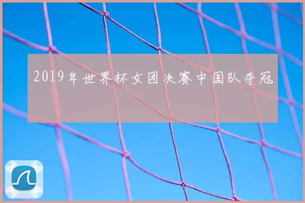 2019年世界杯女团决赛中国队夺冠