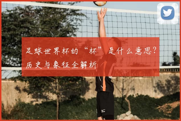 足球世界杯的“杯”是什么意思？历史与象征全解析