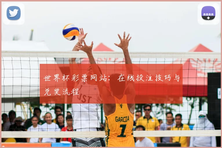 世界杯彩票网站：在线投注技巧与兑奖流程