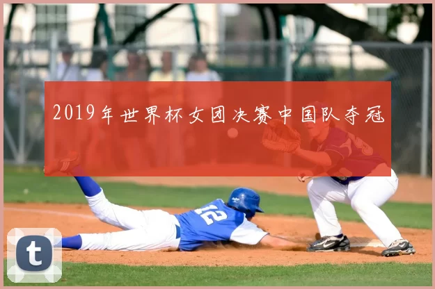 2019年世界杯女团决赛中国队夺冠