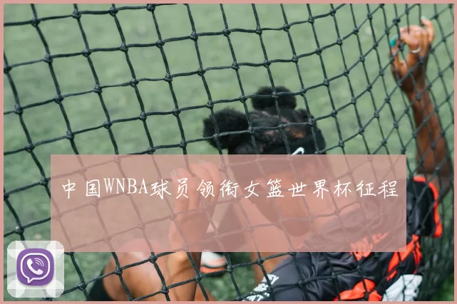 中国WNBA球员领衔女篮世界杯征程