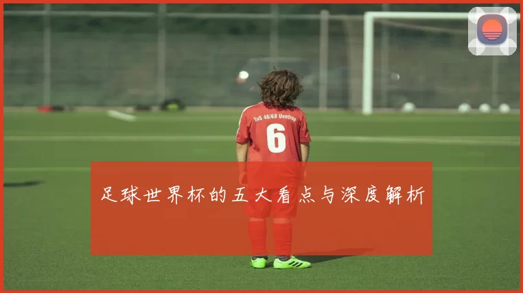 足球世界杯的五大看点与深度解析