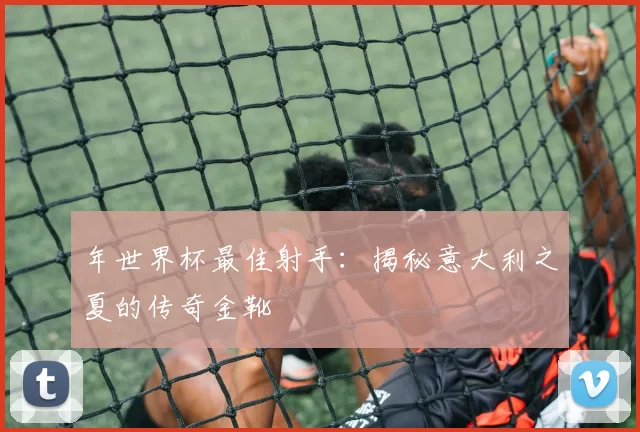年世界杯最佳射手：揭秘意大利之夏的传奇金靴