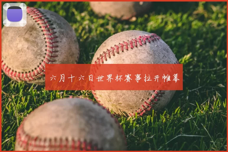 六月十六日世界杯赛事拉开帷幕