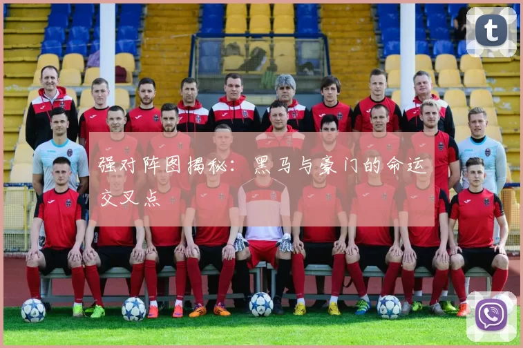 强对阵图揭秘:黑马与豪门的命运交叉点